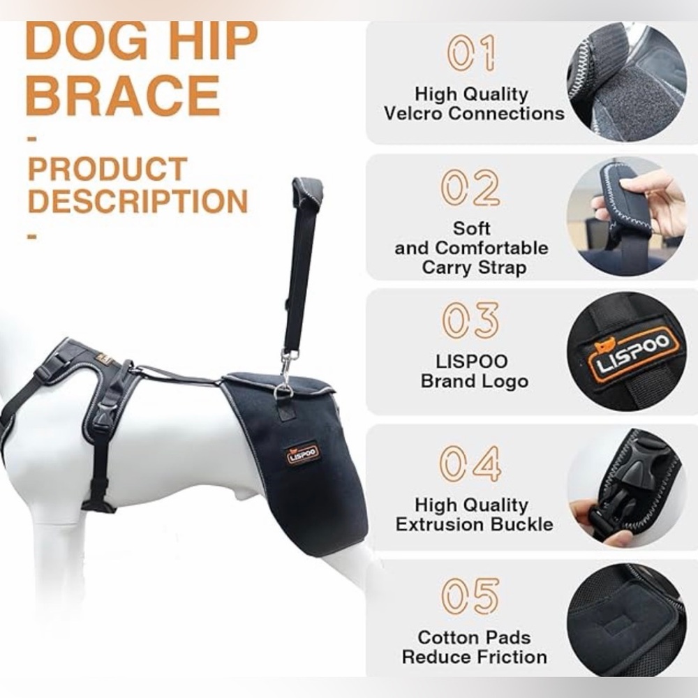 Lispoo Dog Hip Dysplasia Brace with Handle size L